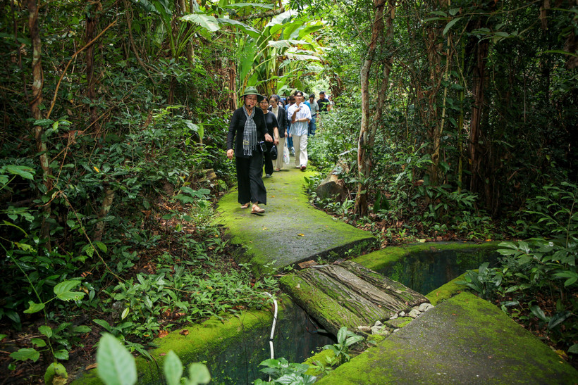 ‘VITA Green’ label set to boost Vietnam’s global sustainable tourism