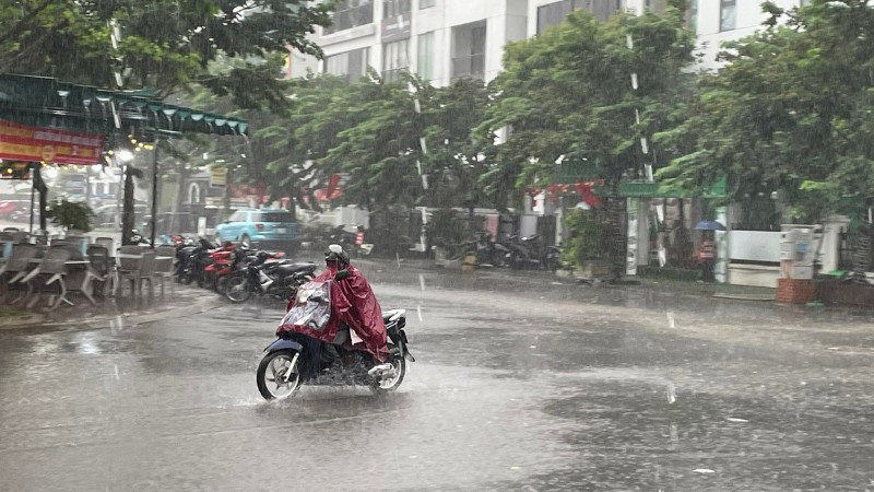 Thời tiết ngày 15/8: Bắc Bộ nhiều nơi có mưa rào, cục bộ có nơi mưa rất to