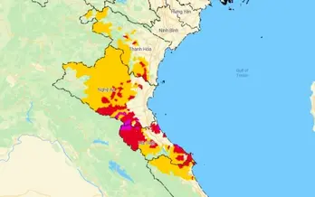 Áp thấp nhiệt đới gây gió giật cấp 9 trên biển, đất liền mưa lớn 300 mm Áp thấp nhiệt đới gây gió giật cấp 9 trên biển, đất liền mưa lớn 300 mm