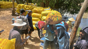 Tay Ninh farmers harvest nearly 60% of the Summer–Autumn 2025 rice crop