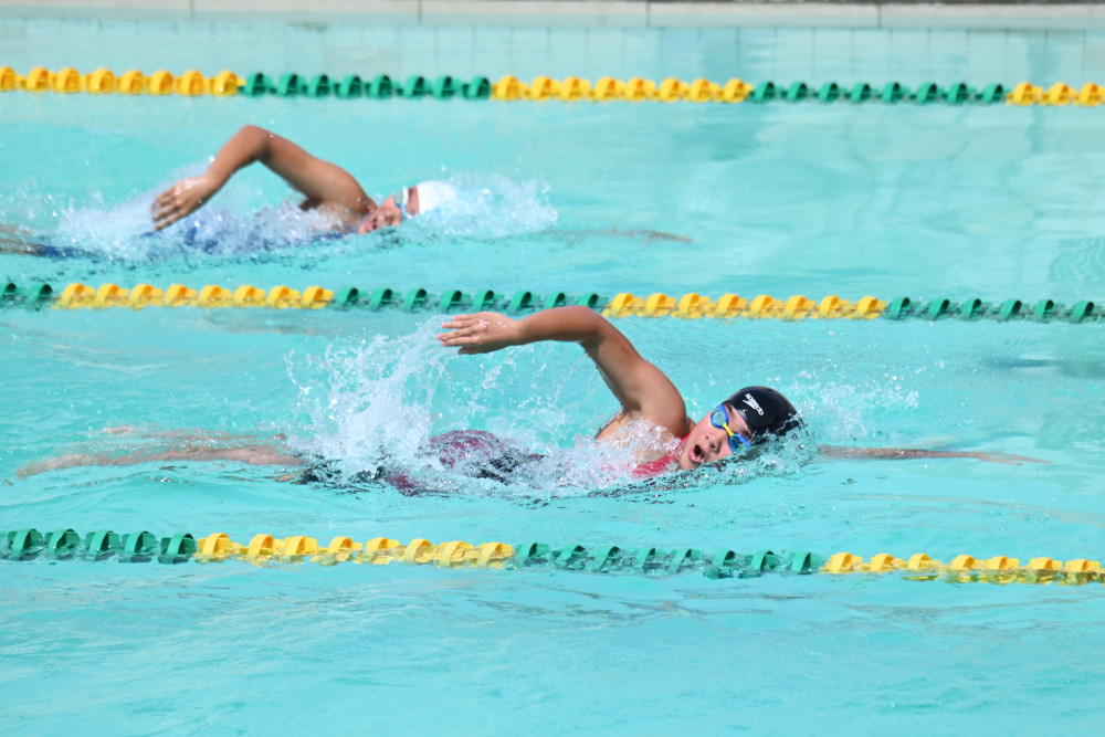 Các VĐV tranh tài nội dung bơi tự do, cự ly 100 mét nam