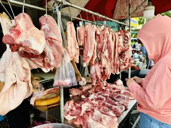 Giá heo hơi hôm nay 19/8: Giảm đồng loạt