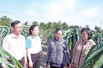 Tiếp sức hoàn lương Tiếp sức hoàn lương