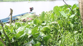 Tây Ninh: Phát hiện thi thể trôi trên sông Vàm Cỏ Tây