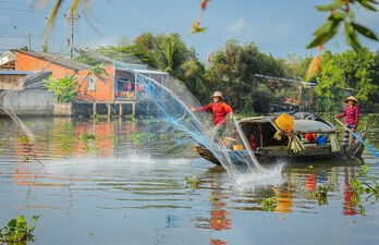 Khoảnh khắc sông Vàm