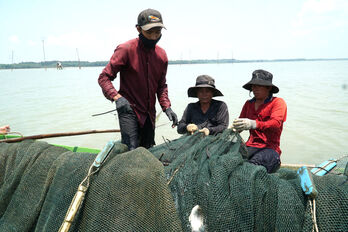 Strive for growth of over 4% in the agriculture, forestry, and fishery sector