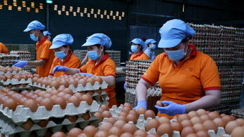 Thị trường Halal - Cơ hội lớn cho doanh nghiệp Tây Ninh