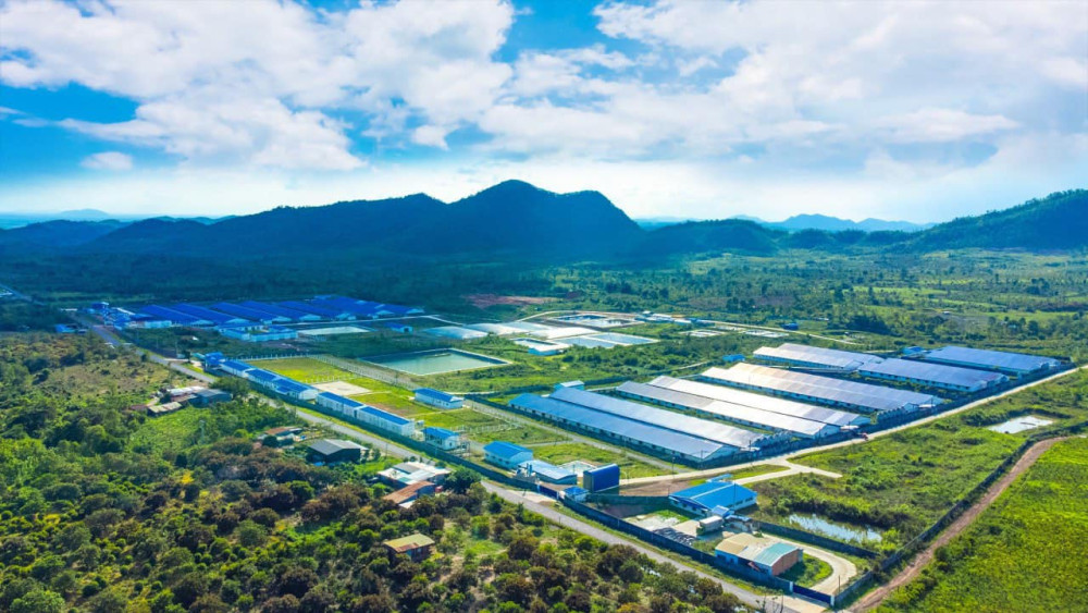 Thị trường Halal - Cơ hội lớn cho doanh nghiệp Tây Ninh