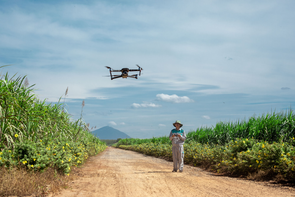 Thị trường Halal - Cơ hội lớn cho doanh nghiệp Tây Ninh