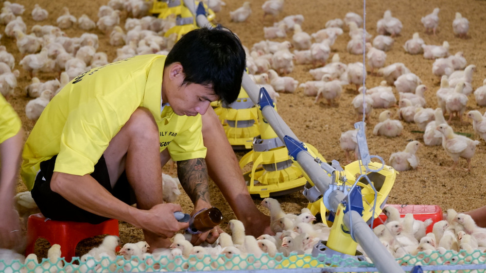 Thị trường Halal - Cơ hội lớn cho doanh nghiệp Tây Ninh