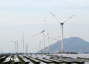 Vietnam’s wind power included in Malaysia’s energy outlook