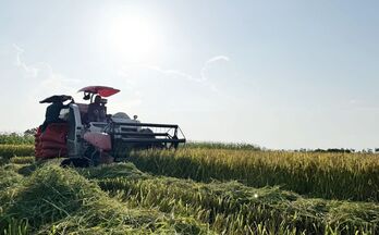 Đòn bẩy đưa nông nghiệp Việt Nam tiến đến hiện đại và xanh hóa
