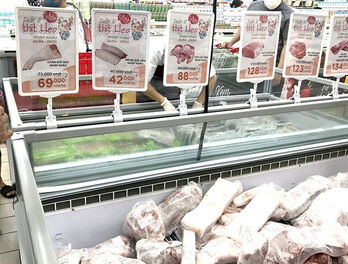 Cheap imports threaten sustainability of Vietnam’s livestock industry