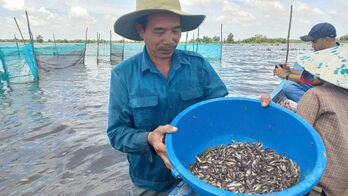 Aquatic products in flood season