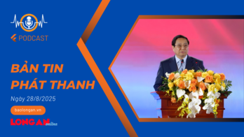 Bản tin phát thanh ngày 28/8/2025