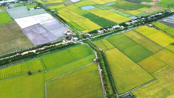 Tây Ninh đẩy nhanh công tác đấu giá quyền sử dụng đất