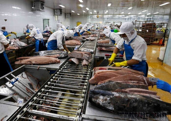 Vietnam posts nearly 14 billion USD trade surplus in eight months