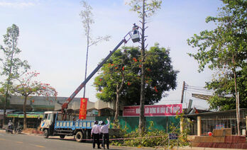 Proactively respond to natural disasters