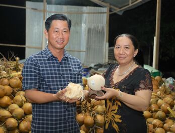 Phát triển vùng trồng dừa hữu cơ tại Tây Ninh: Triển vọng từ mô hình Hợp tác xã dừa hữu cơ (Bài 2)