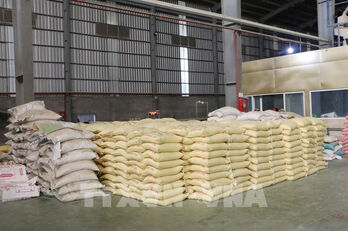 PM directs stronger measures to boost rice production, export