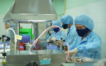 Khơi thông điểm nghẽn để kinh tế tư nhân bứt phá