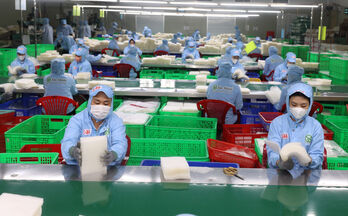 August sees sharp rises in new enterprises, registered capital