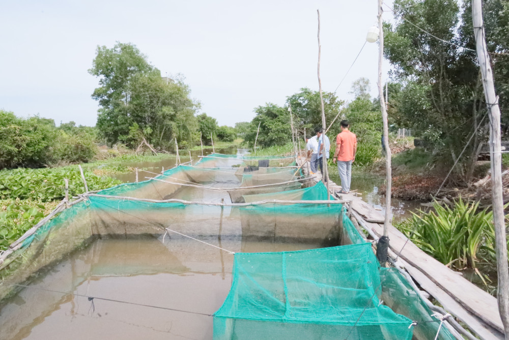 Xã Phước Chỉ khai thác thế mạnh nuôi trồng thủy sản
