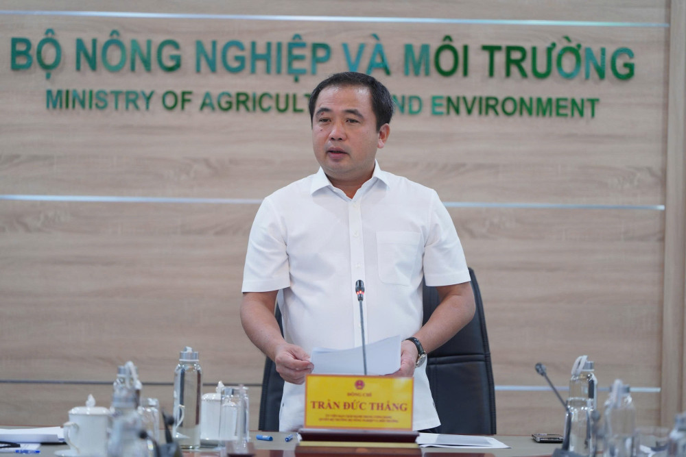 Philippines tạm ngừng nhập khẩu gạo, thị trường gạo Việt Nam không chịu tác động lớn