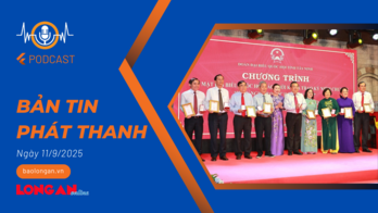Bản tin phát thanh ngày 11/9/2025