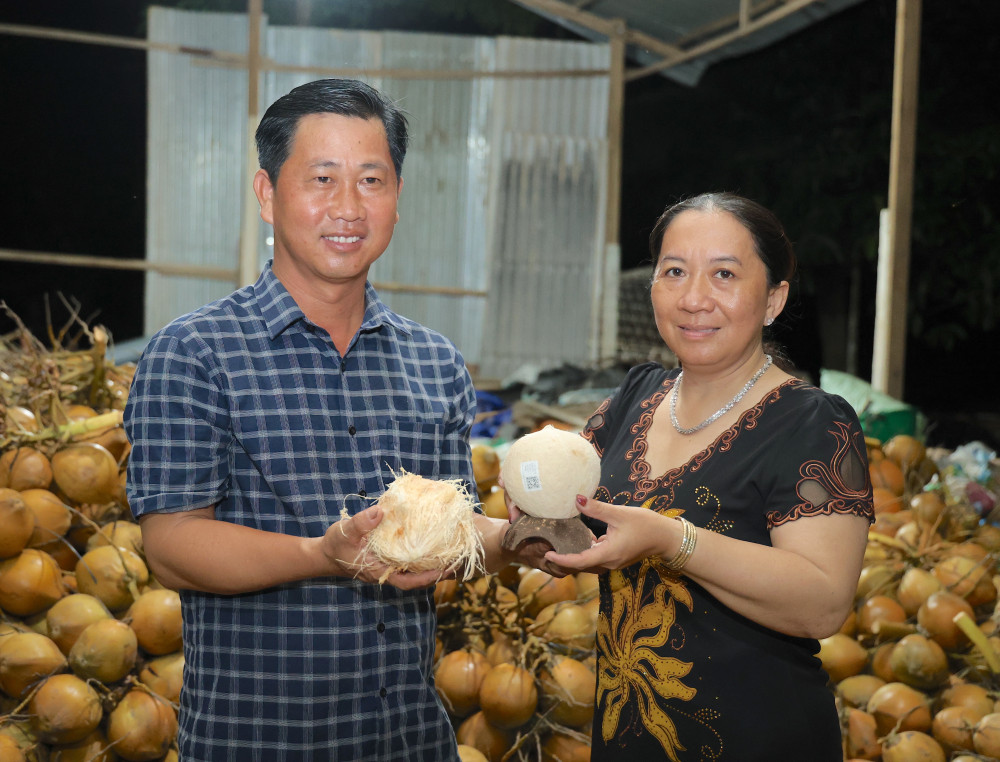 Developing organic coconut growing areas in Tay Ninh: Prospects from the Organic Coconut Cooperative Model