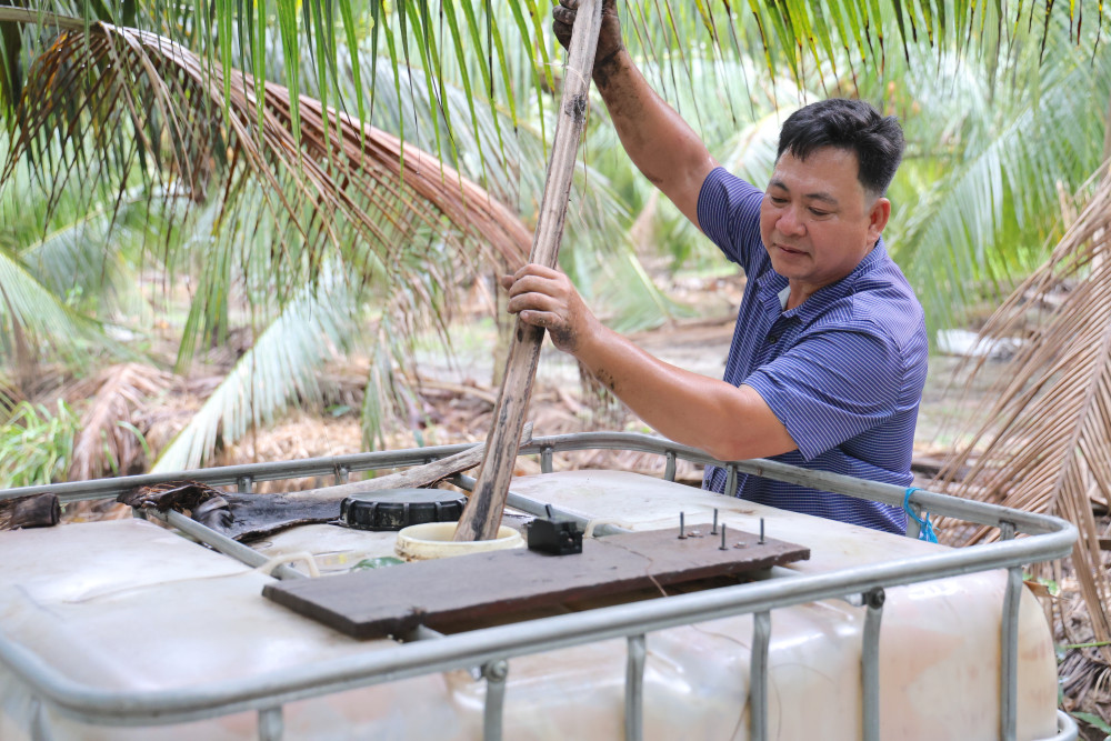 Developing organic coconut growing areas in Tay Ninh: Prospects from the Organic Coconut Cooperative Model