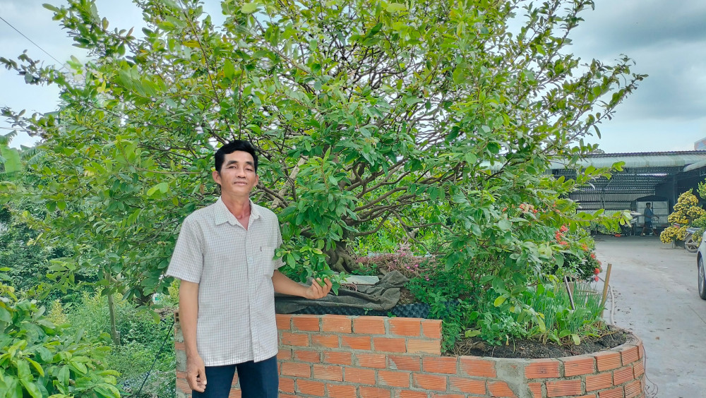 Nhân lên sức mạnh đại đoàn kết từ phong trào thi đua: 'Trái ngọt' nông thôn mới (Bài 1)