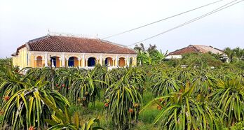 Xóm nhà giàu - nơi thời gian ngưng đọng