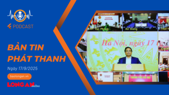 Bản tin phát thanh ngày 17/9/2025