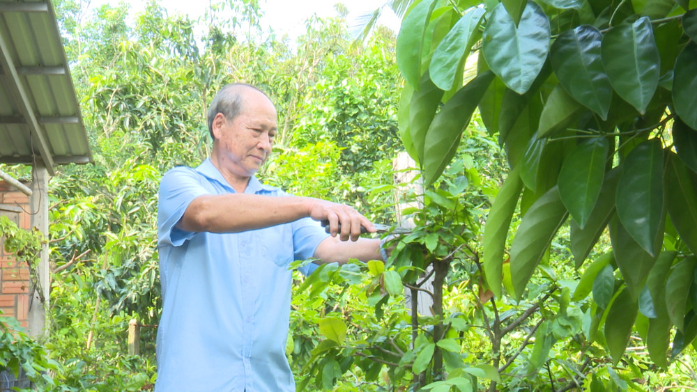 Chi trả bảo hiểm xã hội an toàn, thuận tiện góp phần thúc đẩy thanh toán không dùng tiền mặt