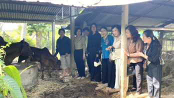 Trao tặng 2 con bò sinh sản hỗ trợ phụ nữ nghèo