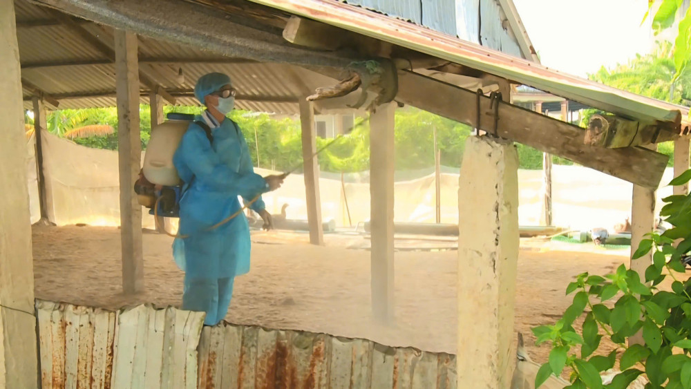 Proactively prevent epidemics, ensure livestock safety