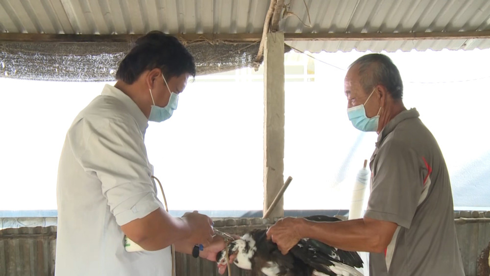 Proactively prevent epidemics, ensure livestock safety