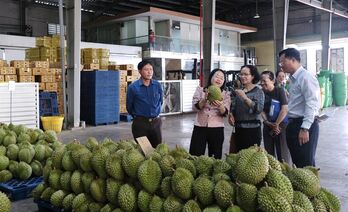 Kết nối nội lực, đột phá tương lai
