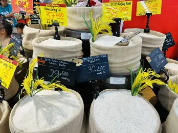Giá gạo Việt Nam tiếp tục tăng mạnh, vì sao?