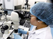 Policies issued to attract experts in science, technology, innovation, digital transformation