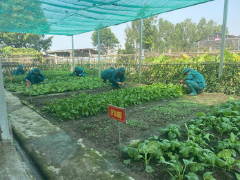 Lực lượng Dân quân xã Hưng Điền tăng gia sản xuất, nâng cao đời sống