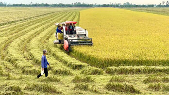 Nỗ lực 'về đích' xã nông thôn mới