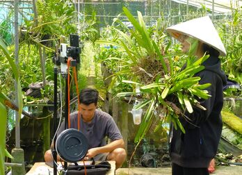 Promoting e-commerce to support agricultural product consumption