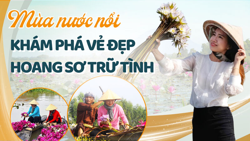 Mùa nước nổi: Khám phá vẻ đẹp hoang sơ trữ tình
