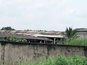 Yêu cầu trại gà khắc phục tình trạng gây ô nhiễm