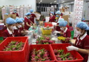 Building growing area codes—The key to improving agricultural products