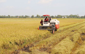 Tay Ninh sets growth target for Primary sector in 2025 at 4.3% or more