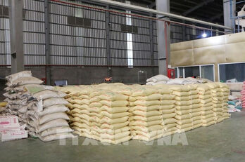 Vietnamese rice remains steadfast amid world market fluctuations