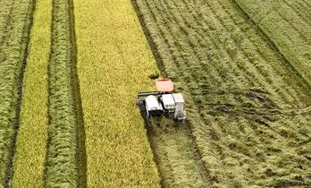 Từ vựa lúa cả nước, An Giang hướng tới trung tâm nông nghiệp hiện đại